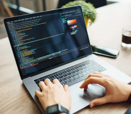 Custom Web Development